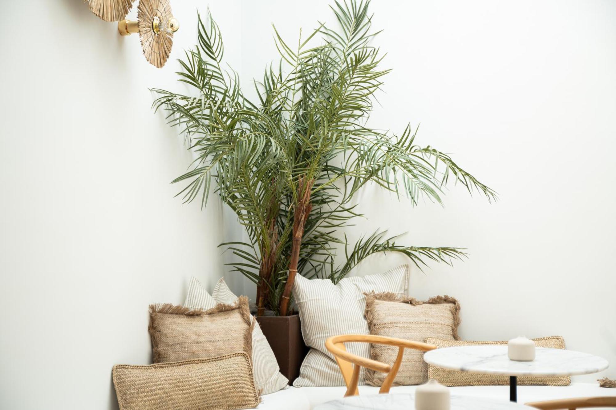 Rooms By Jova El Campello Ngoại thất bức ảnh